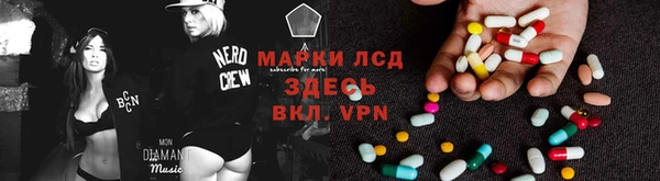 гашик Алзамай
