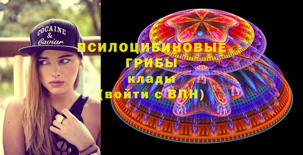 прущие грибы Алексеевка