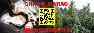 прущие крисы Заводоуковск
