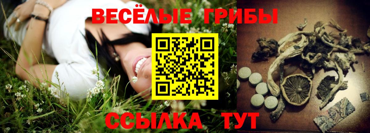 Псилоцибиновые грибы Psilocybe Урюпинск