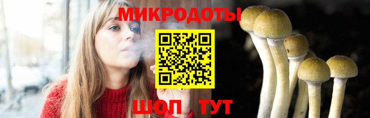 Урюпинск  Псилоцибиновые грибы Psilocybine cubensis  Вход с VPN 